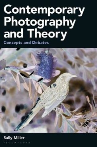 Cover of Contemporary Photography and Theory