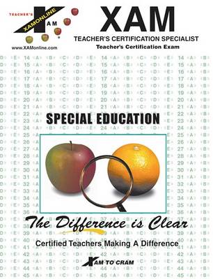 Book cover for Instant Mttc Special Education