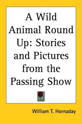Book cover for A Wild Animal Round Up