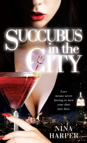 Book cover for Succubus in the City