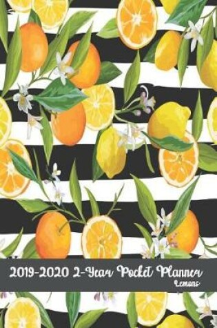 Cover of 2019-2020 2-Year Pocket Planner Lemons 6x9