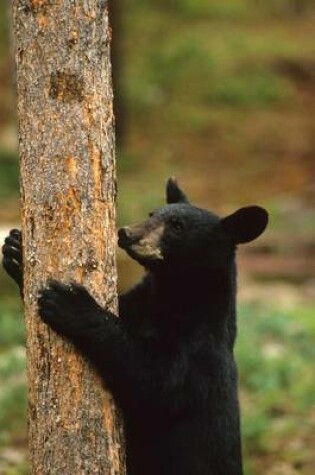 Cover of Black Bear Climbing a Tree Journal