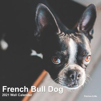 Book cover for French Bulldog