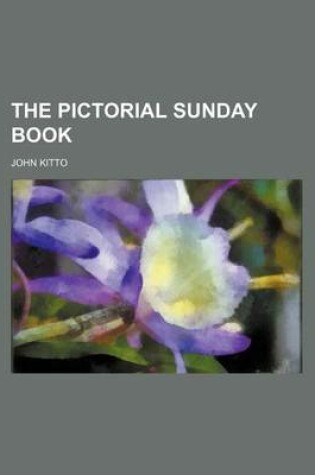 Cover of The Pictorial Sunday Book