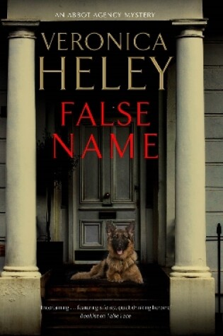 Cover of False Name