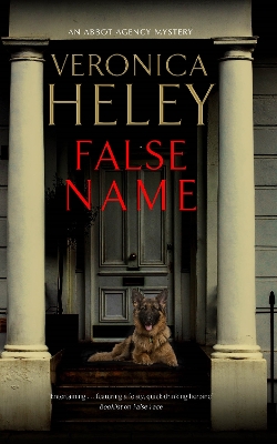 Book cover for False Name