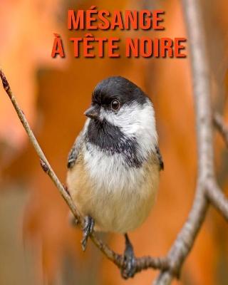 Book cover for Mésange à Tête Noire