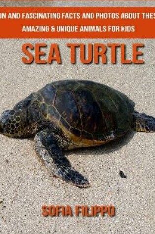 Cover of Sea Turtle