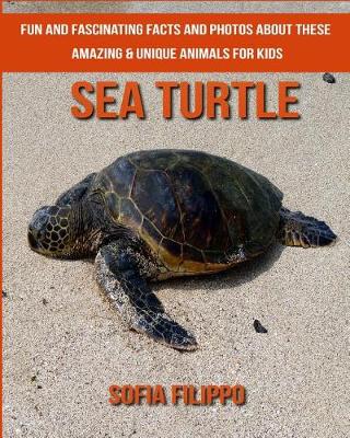 Book cover for Sea Turtle