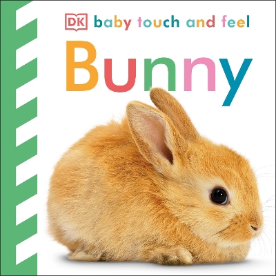 Book cover for Baby Touch and Feel Bunny