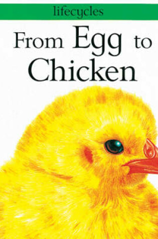 Cover of From Egg to Chicken