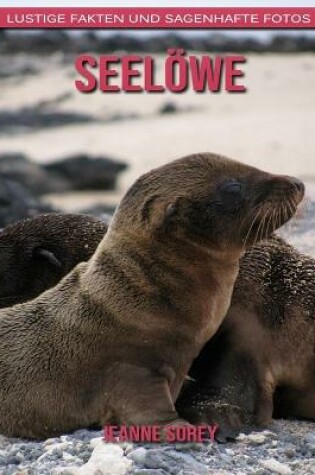 Cover of Seelöwe