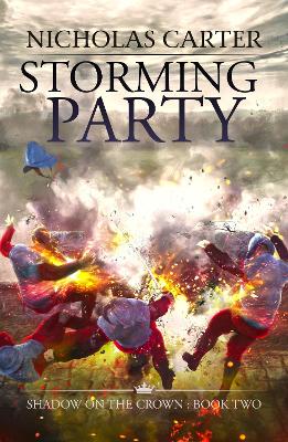 Book cover for Storming Party