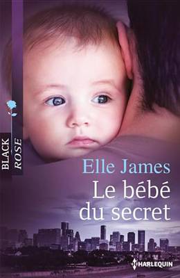 Book cover for Le Bebe Du Secret
