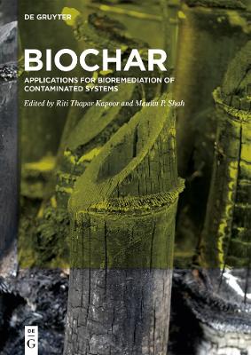 Book cover for BioChar
