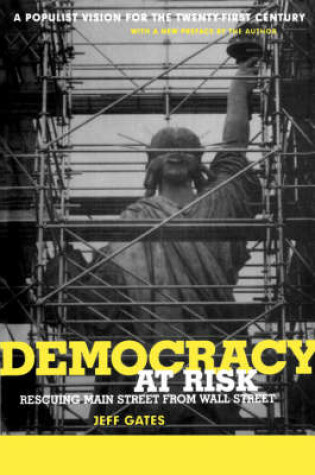 Cover of Democracy At Risk