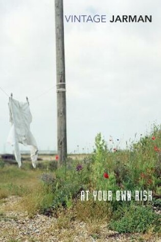 Cover of At Your Own Risk