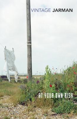 Book cover for At Your Own Risk