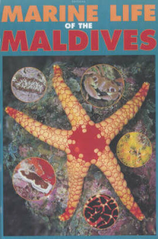 Cover of Marine Life of the Maldives