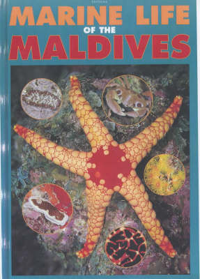 Book cover for Marine Life of the Maldives