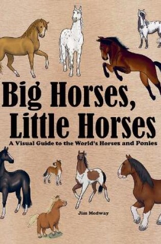 Cover of Big Horses, Little Horses