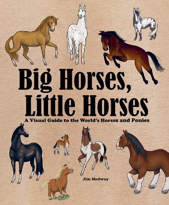 Book cover for Big Horses, Little Horses