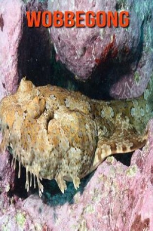 Cover of Wobbegong