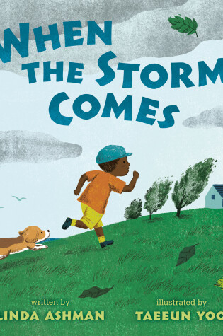 Cover of When the Storm Comes
