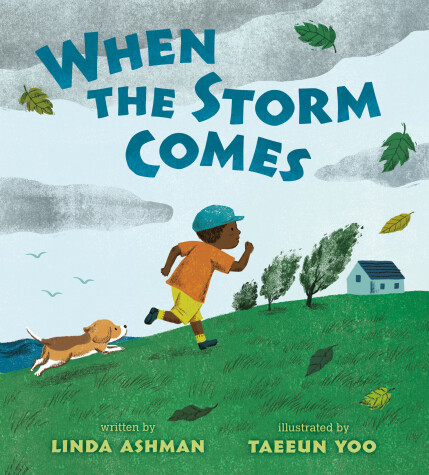 Book cover for When the Storm Comes