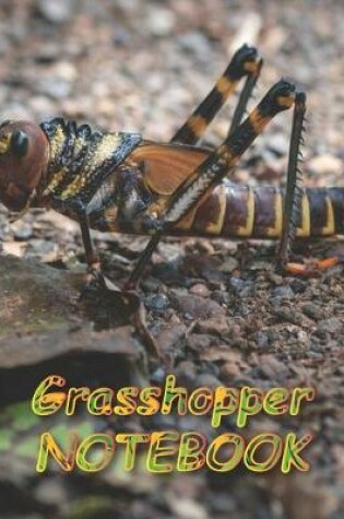 Cover of Grasshopper NOTEBOOK