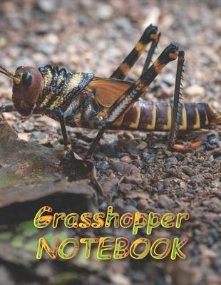 Book cover for Grasshopper NOTEBOOK