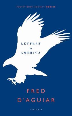 Book cover for Letters to America