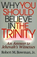 Book cover for Why You Should Believe in the Trinity