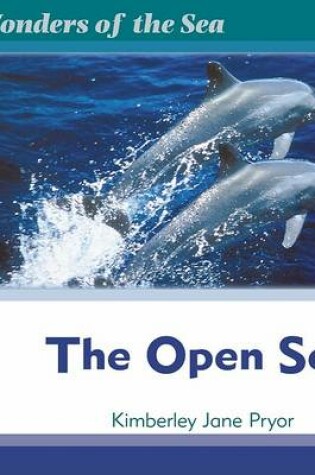 Cover of Us Open Sea