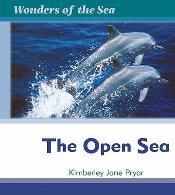 Book cover for Us Open Sea