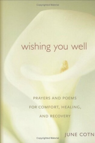 Cover of Wishing You Well