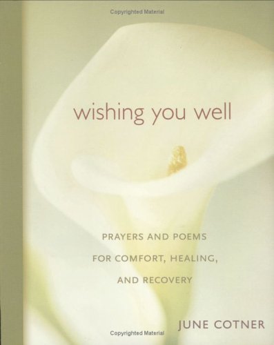 Book cover for Wishing You Well