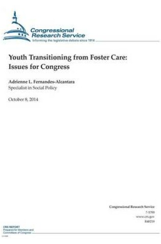 Cover of Youth Transitioning from Foster Care