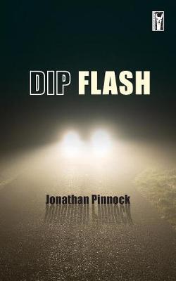 Book cover for Dip Flash