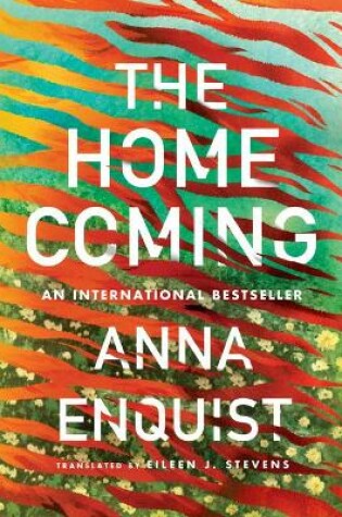 Cover of The Homecoming