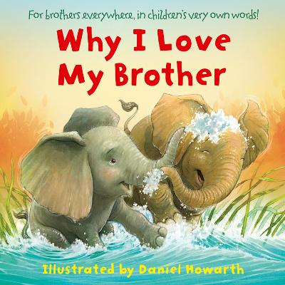 Book cover for Why I Love My Brother