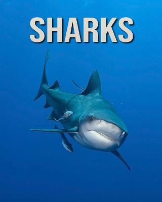 Book cover for Sharks