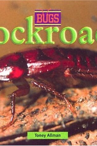 Cover of Cockroach