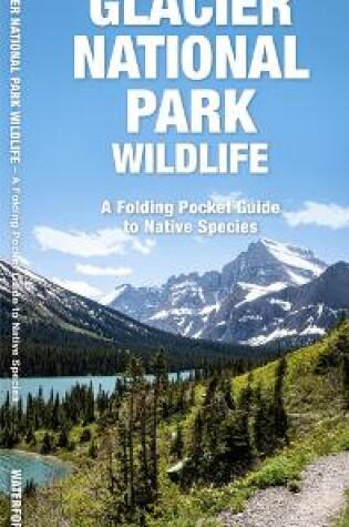 Cover of Glacier National Park Wildlife