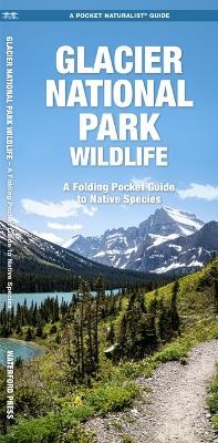 Book cover for Glacier National Park Wildlife