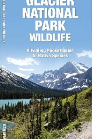 Cover of Glacier National Park Wildlife