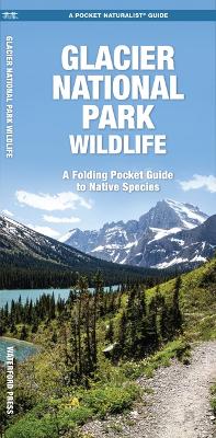 Book cover for Glacier National Park Wildlife