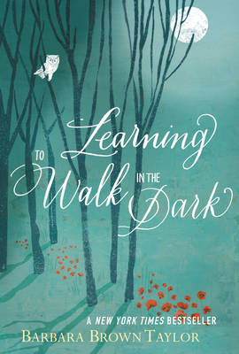 Book cover for Learning to Walk in the Dark