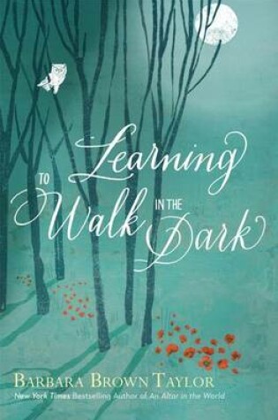 Cover of Learning to Walk in the Dark