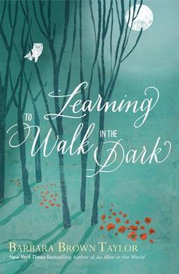 Book cover for Learning to Walk in the Dark